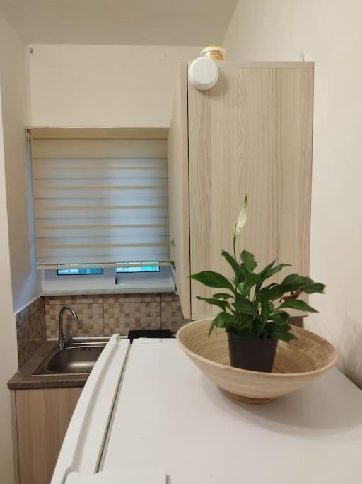 Esteticaapartments Rhodes City Εξωτερικό φωτογραφία
